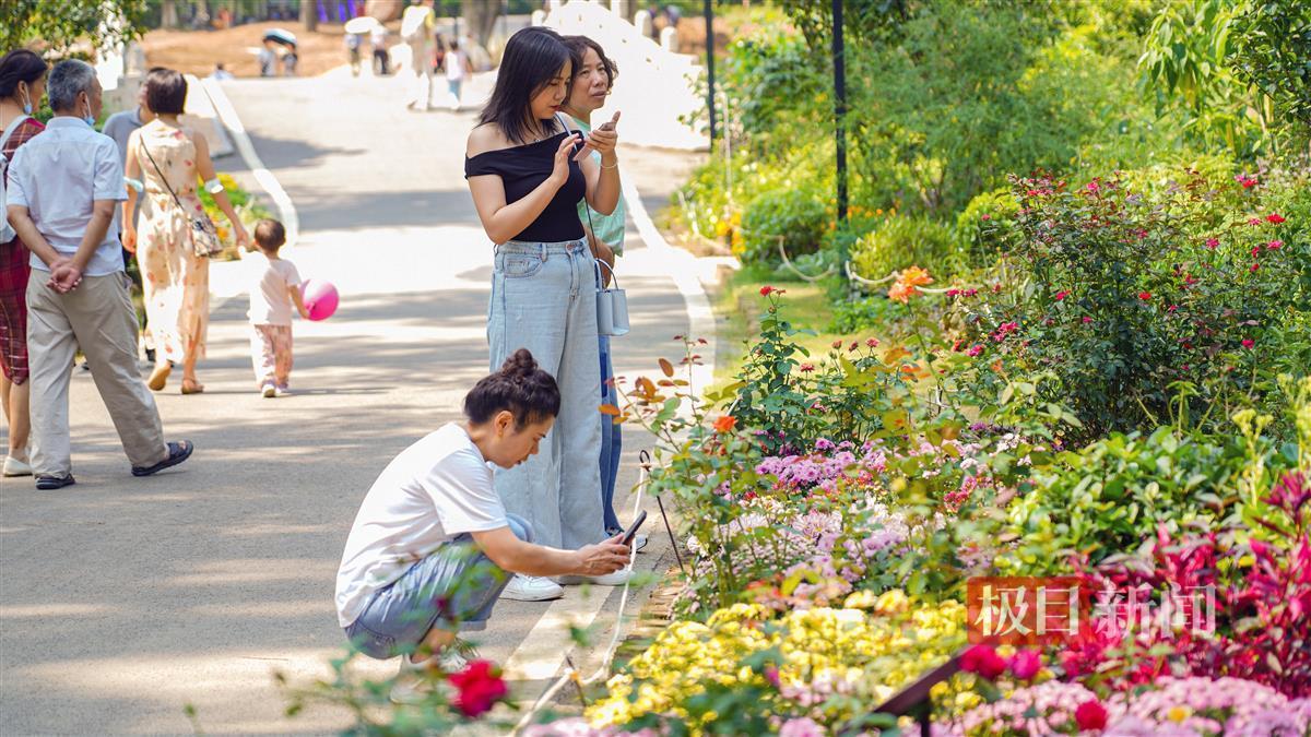 九卅娱乐登录平台